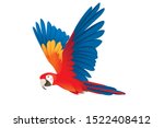 Adult parrot of red-and-green macaw Ara flying (Ara chloropterus) cartoon bird design flat vector illustration isolated on white background