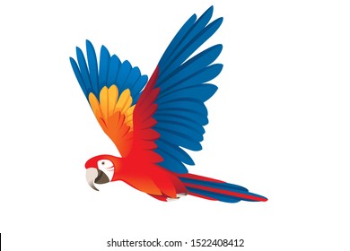 Adult parrot of red-and-green macaw Ara flying (Ara chloropterus) cartoon bird design flat vector illustration isolated on white background