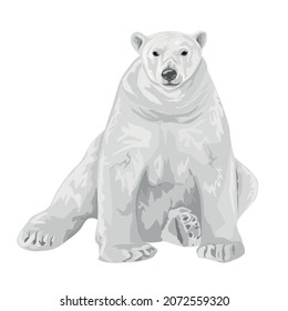 
Adult Polar Bear Sits Isolated On A White Background. Polar Bear. Northern Animals. Vector