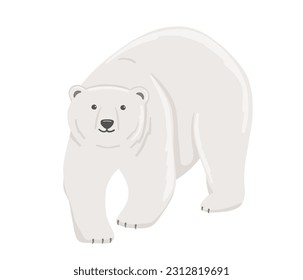 Adult polar bear. Vector flat cartoon illustration isolated on white background. North animal.