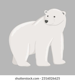 Adult polar bear. Vector flat cartoon illustration isolated on white background. North animal.