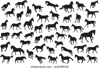 Adult race horses silhouettes big set. Basis clip art on white background