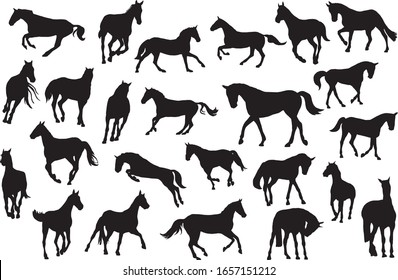 Adult race horses silhouettes big set. Clip art on white background