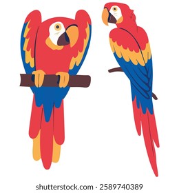 Adult Red-and-Green Macaw Parrot Illustrations Flat Vector Design