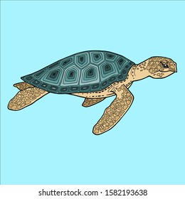 Adult sea turtle. Sea reptile. Profile. 