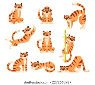 Adult Tiger with Striped Coat in Different Pose Vector Set