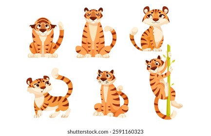 Adult Tiger with Striped Coat in Different Pose Vector Set