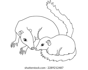 Adult treeshrews with her cub - vector linear coloring picture with banxrings. Outline. Tree shrews or Tupaia small mammal with her baby