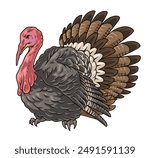 Adult turkey colorful set stickers with domesticated farm bird that is symbol of thanksgiving day vector illustration