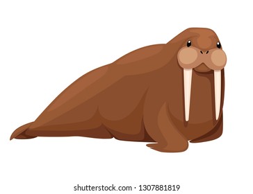 Adult walrus. Arctic animal, cartoon flat design. Vector illustration isolated on white background.
