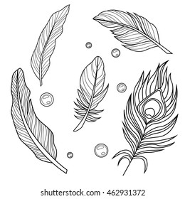 Adutl coloringpage with birds feathers. Vector outlines.