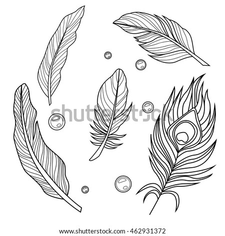 Adutl coloringpage with birds feathers. Vector outlines.
