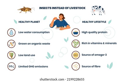 Ventajas de comer insectos para el planeta y para la bandera vectorial de infografía de salud. Insectos en lugar de presentación de ganado.