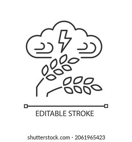 Adverse Weather Linear Icon. Severe Climate Conditions Lead To Harvest Damage And Hunger. Thin Line Customizable Illustration. Contour Symbol. Vector Isolated Outline Drawing. Editable Stroke