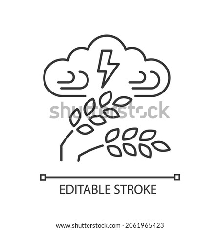Adverse weather linear icon. Severe climate conditions lead to harvest damage and hunger. Thin line customizable illustration. Contour symbol. Vector isolated outline drawing. Editable stroke
