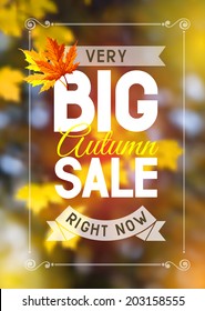 Advertisement about the autumn sale on defocused background with leaves. Vector illustration.