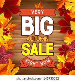 Advertisement about the autumn sale. Vector.