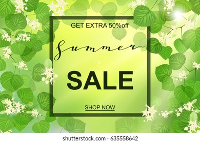 Advertisement about the summer sale, fresh green Linden leaves and flowers with sun rays