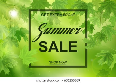 Advertisement about the summer sale, fresh green leaves with sun rays