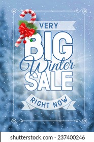 Advertisement about the winter sale on defocused background with christmas decoration. Vector illustration.