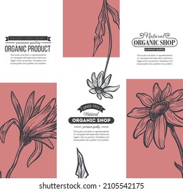 Advertisement banner with decorative flowers in blossom, blooming flora and leafage, foliage and petals. Leaflet or brochure with text and calligraphy letter, marketing. Vector in flat style
