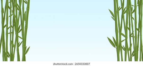 Advertising banner with bamboo stems and leaves on edges on blue background. Segmented trunks. Blank botanical border. Chinese green canes. Japanese nature. Vector
