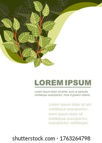 Diseño de pancartas publicitarias con patrón creativo abstracto hojas verdes en ramas de árbol ilustración vectorial plana sobre fondo blanco