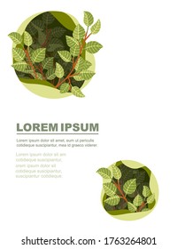 Advertising banner design with abstract creative pattern green leaves on tree branches flat vector illustration on white background