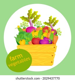 Cartel publicitario con verduras de granja. Una caja de madera llena de verduras de granja.Abejas, zanahorias, pepino, tomate, cebolla, berenjena, col, pimienta.Pegatina delantera con texto.Hortalizas de granja.Vector.