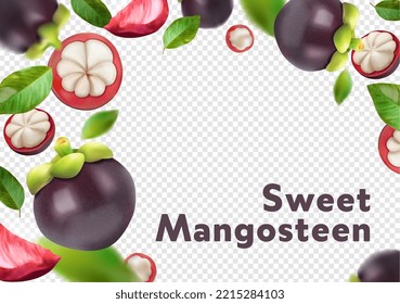 Advertising concept ripe mangosteen on a transparent background. Vector illustration.