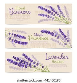 Advertising horizontal banners floral provence and seasons with branch of lavender flowers on seamless background vector illustration