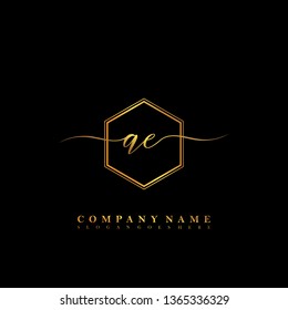 AE Initial luxury handwriting logo vector