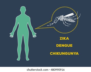 Aedes Aegypti mosquitoes logo vector icon, Dengue Zika Chikungunya