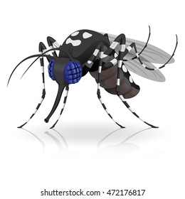 Aedes Aegypti Mosquitoes Mascot Stilt Side. Ideal For Informational And Institutional Related Sanitation And Care
