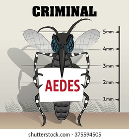 Aedes Aegypti Mosquitoes Sting In Jail, Holding Poster. Ideal For Informational And Institutional Related Sanitation And Care