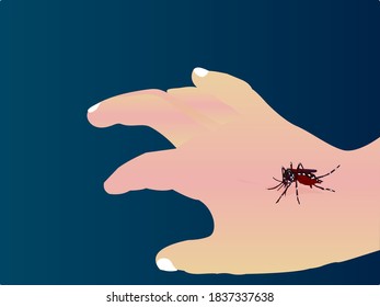 Aedes mosquitoes carry dengue fever.