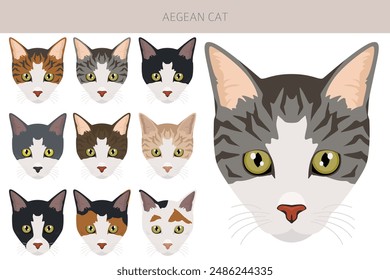 Aegean cat clipart. All coat colors set.  All cat breeds characteristics infographic. Vector illustration