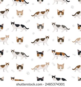 Aegean cat seamless pattern. All coat colors set.  All cat breeds characteristics infographic. Vector illustration