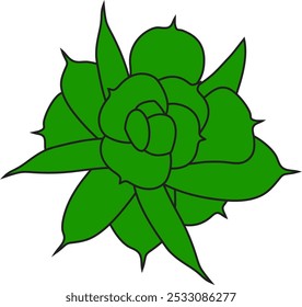 Aeonium haworthii vista desde arriba. Icono o Ilustración vectorial de estilo simple. Planta suculenta en estilo plano blanco y negro. Útil para impresión y diseño. 