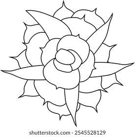 Aeonium haworthii vista desde arriba. Icono o Ilustración vectorial de estilo simple. Planta suculenta en estilo plano blanco y negro. Útil para impresión y diseño. 