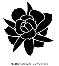 Aeonium haworthii view from top. Simple style vector illustration or icon. Succulent plant in black and white flat style. Useful for print and design. 