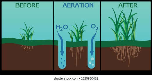 Aeration of the lawn. Enrichment with oxygen water and nutrients to improve lawn growth. Before and after aeration: gardening, lawn care services. Advantages of aeration vector.