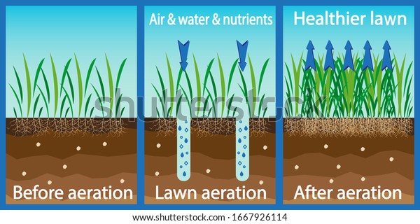 Aeration Lawn Enrichment Oxygen Water Nutrients Stock Vector (Royalty ...