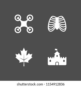 aerial icon. 4 aerial set with skeleton, leaf, fortress and drone vector icons for web and mobile app
