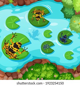 Aerial scene with exotic frogs and lotus leaves in the pond illustration