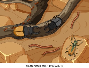Aerial scene with stag beetles and millipede illustration