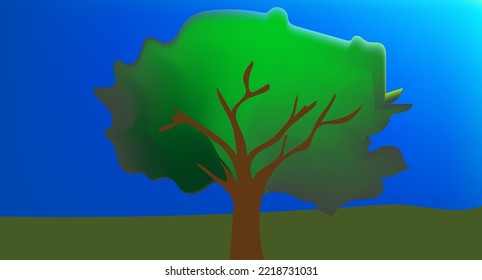 Draufsicht, Waldbaum, Regenwald-Ökosystem und gesunde Umwelt-Konzeption und Hintergrund, Textur der Sicht auf den grünen Baumwald von oben