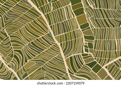 Aerial top view of paddy rice terraces, green agricultural fields in countryside or rural area of mountain hills valley on summer in Asia, Vietnam. Nature landscape background.Vector illustration