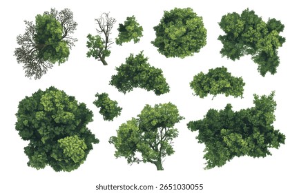 Ilustração aérea de cima para baixo de vários clusters de copa de árvore com folhagem verde exuberante, ideal para planejamento de paisagem, renderizações arquitetônicas e design ambiental.
