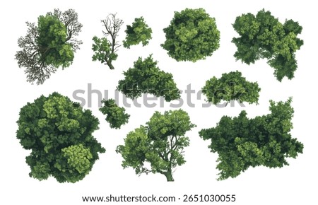 Aerial top-down illustration of various tree canopy clusters with lush green foliage, ideal for landscape planning, architectural renders, and environmental design.